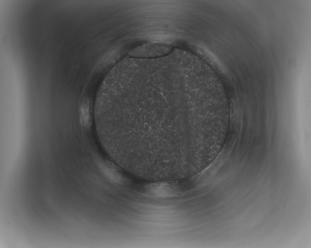X0000111460074200908031348