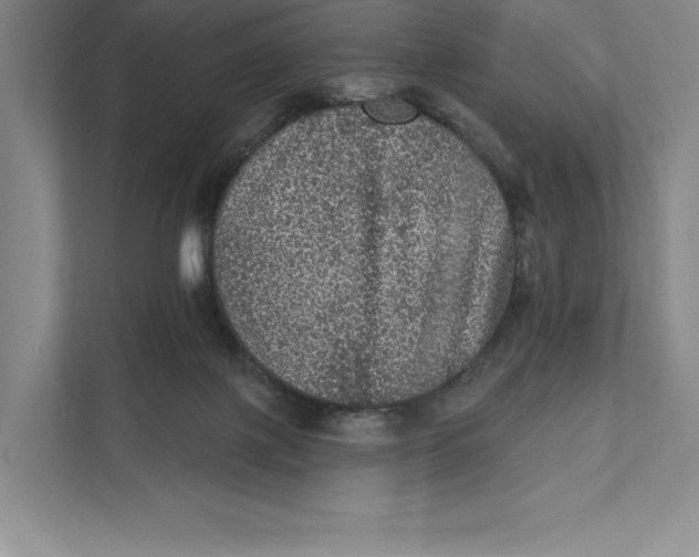 X0000111460075200908031348