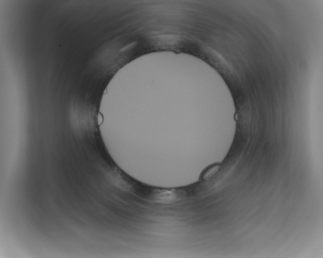 X0000111460083200908031348