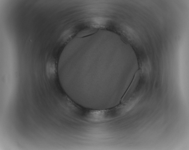 X0000111460084200908031348