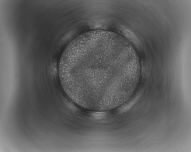 X0000111460085200908031348