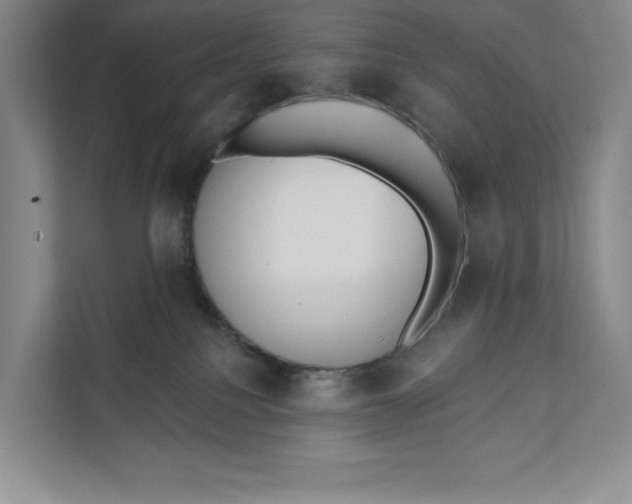X0000111460088200908031348