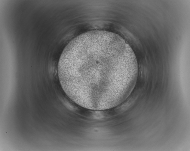 X0000111460091200908031348