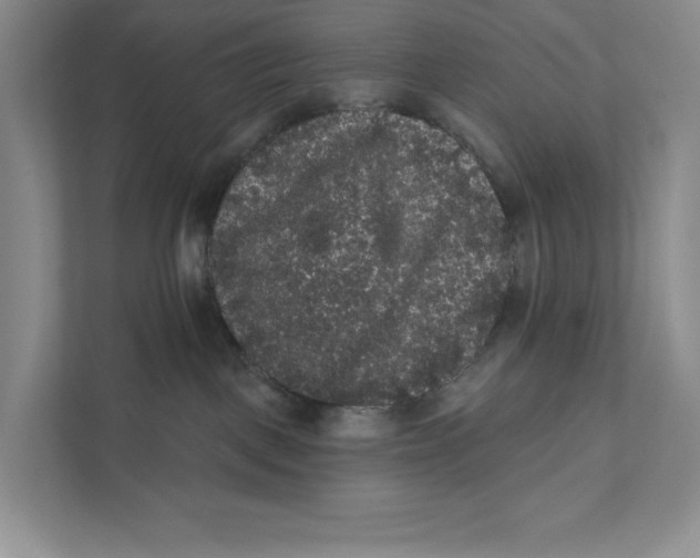 X0000111460093200908031348