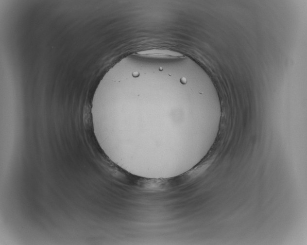 X0000111460096200908031348
