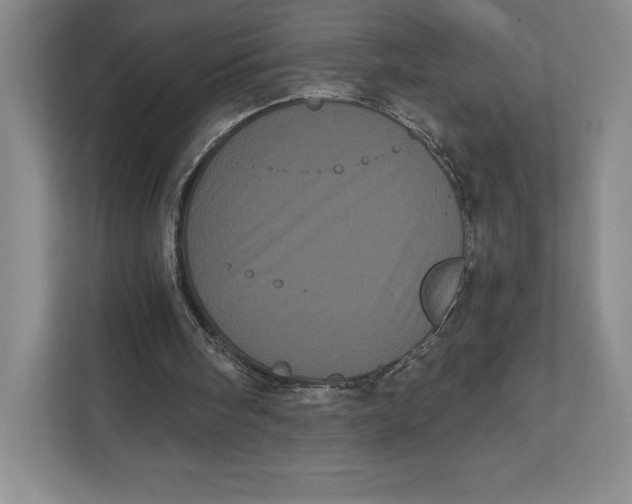 X0000111460098200908031348