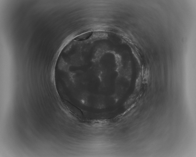 X0000111460099200908031348