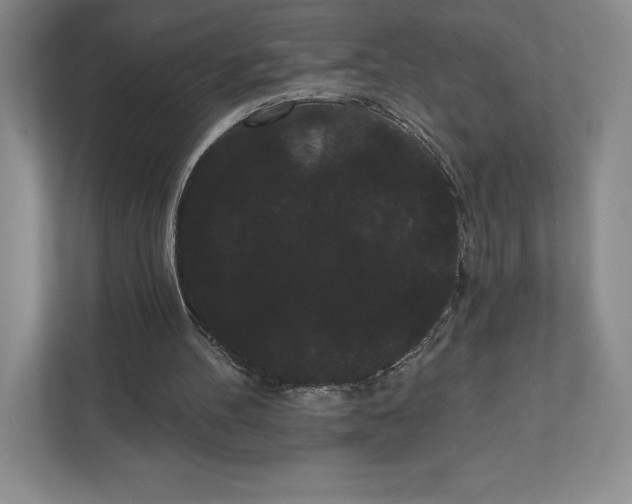 X0000111460100200908031348
