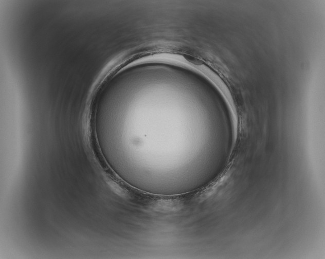 X0000111460101200908031348