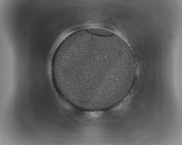 X0000111460103200908031348