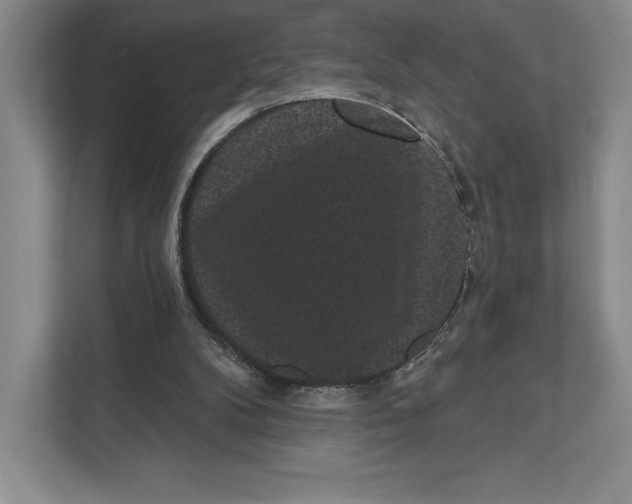 X0000111460104200908031348