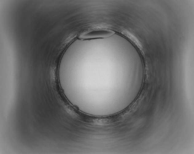 X0000111460105200908031348