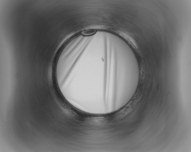 X0000111460108200908031348