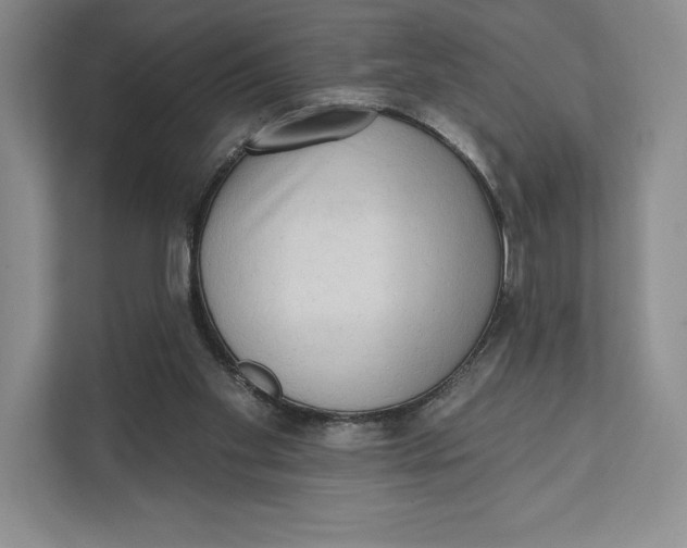 X0000111460109200908031347