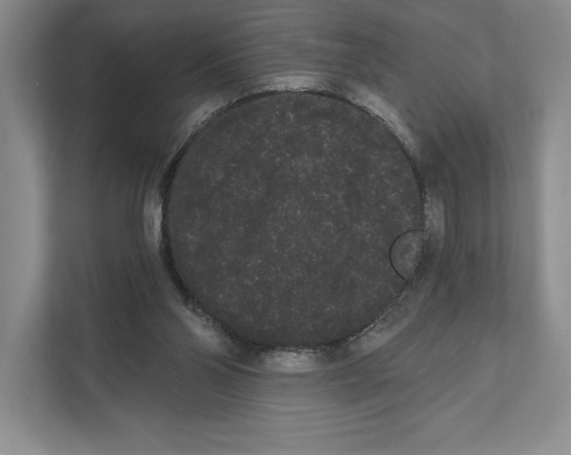 X0000111460110200908031347