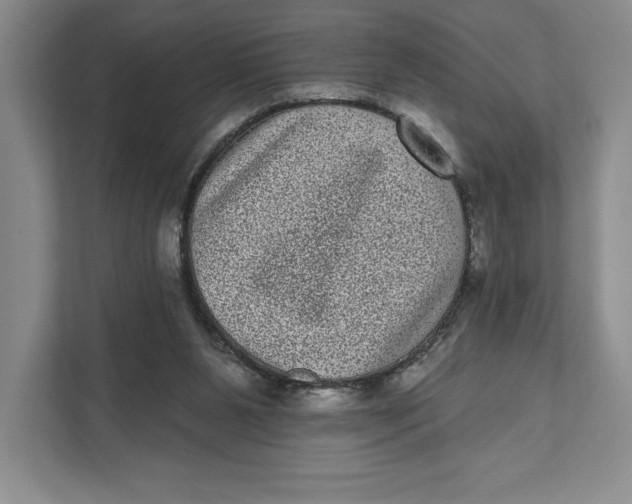 X0000111460111200908031347
