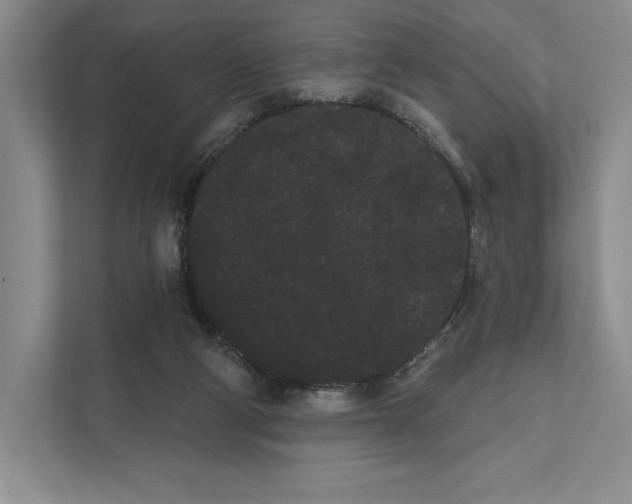 X0000111460114200908031347
