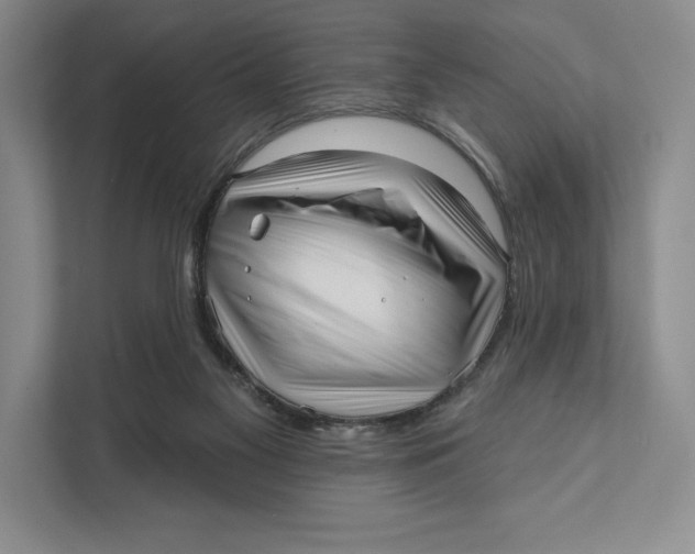 X0000111460117200908031347