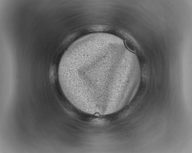 X0000111460119200908031347