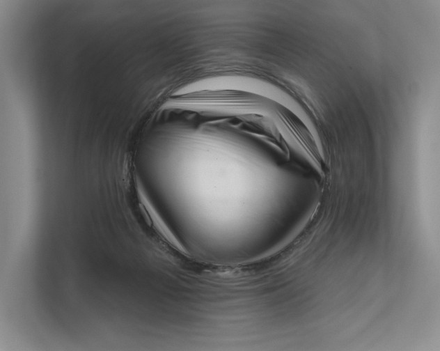 X0000111460121200908031347