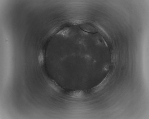 X0000111460124200908031347