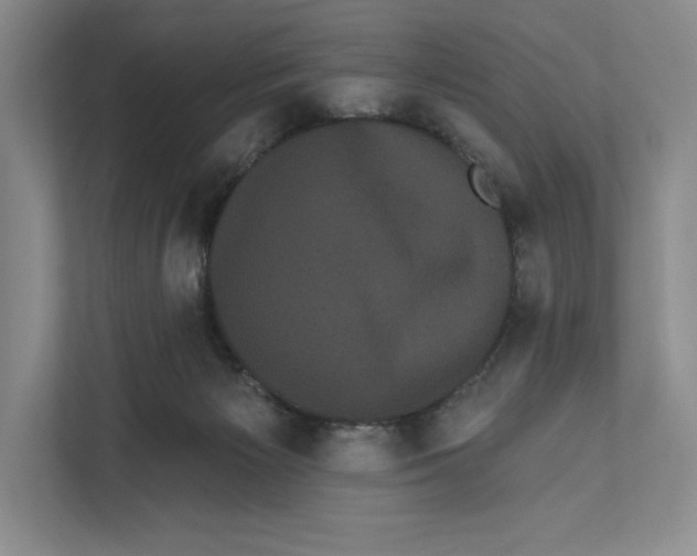 X0000111460125200908031347