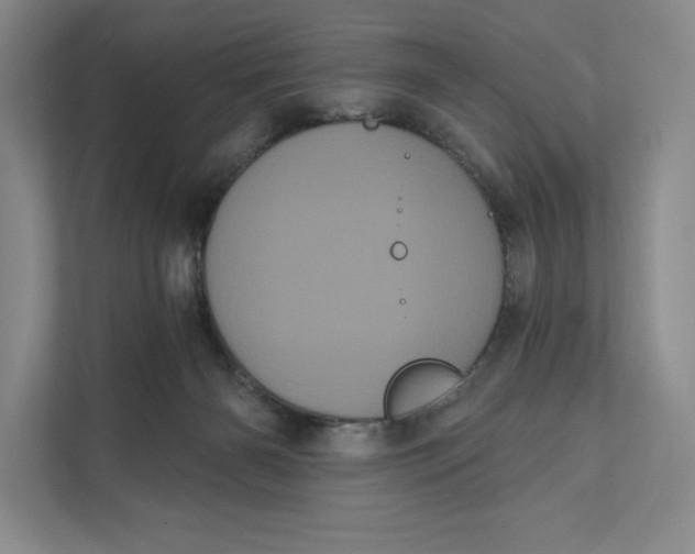 X0000111460126200908031347