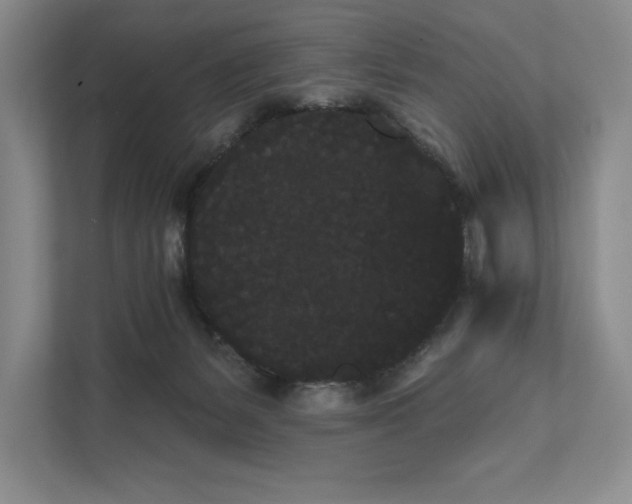 X0000111460127200908031347