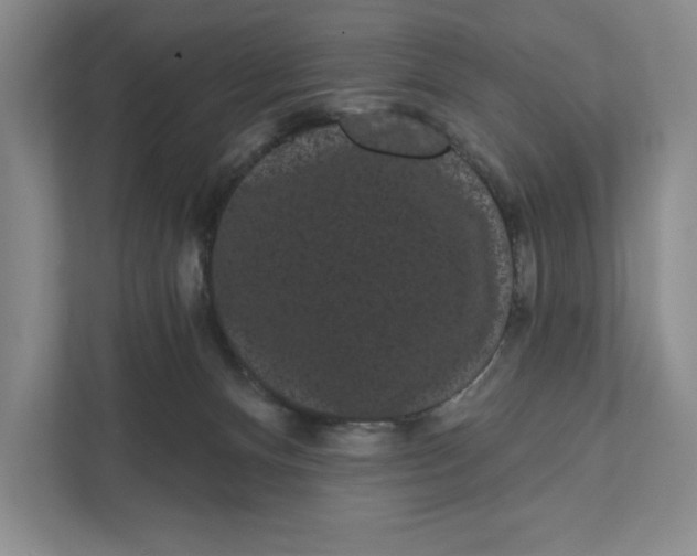 X0000111460128200908031347