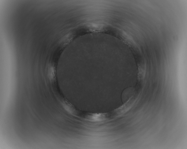 X0000111460130200908031347