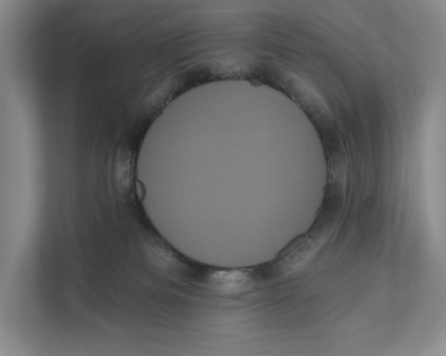X0000111460133200908031347