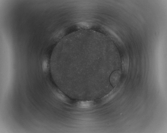 X0000111460134200908031347