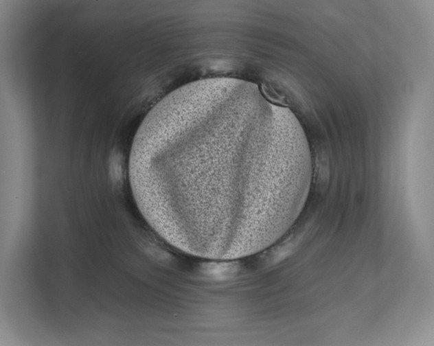X0000111460135200908031347