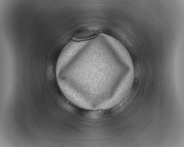 X0000111460136200908031347