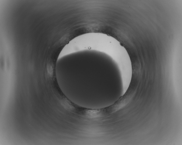 X0000111460139200908031347