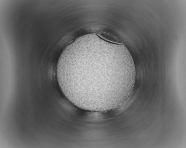 X0000111460140200908031347