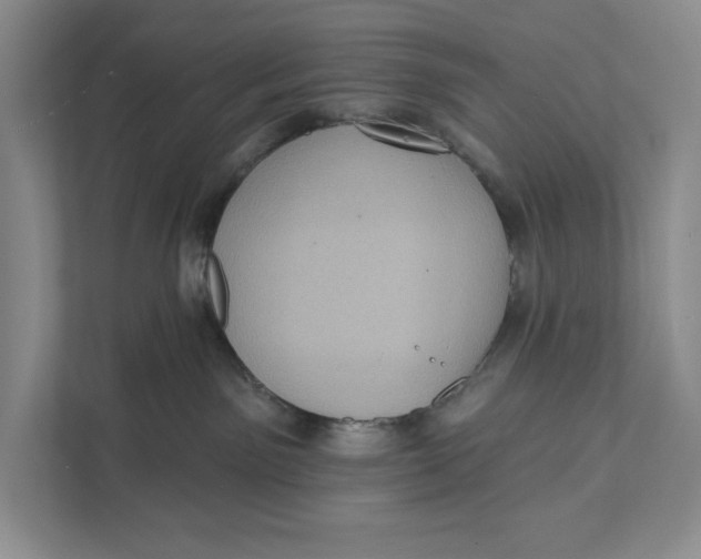 X0000111460141200908031347
