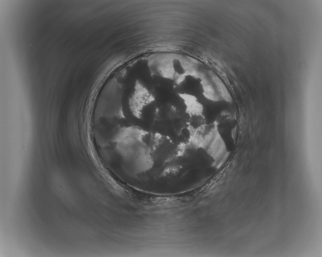 X0000111460145200908031346