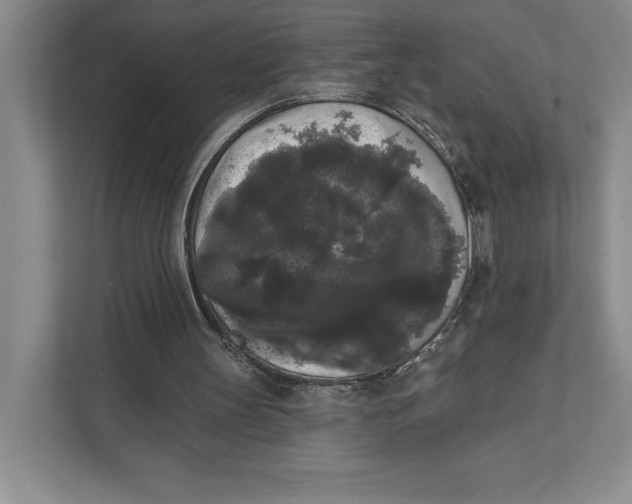 X0000111460147200908031346
