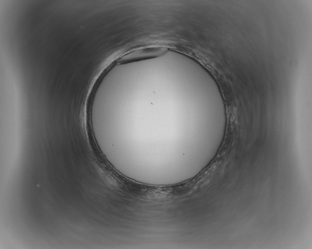 X0000111460148200908031346