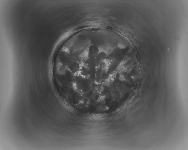 X0000111460149200908031346