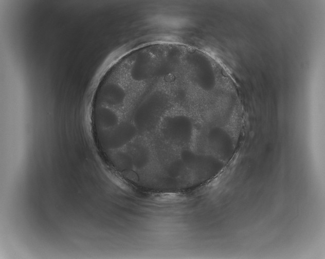 X0000111460151200908031346
