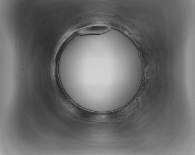 X0000111460152200908031347