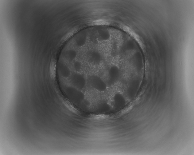 X0000111460153200908031347