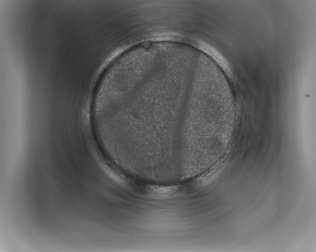X0000111460155200908031347