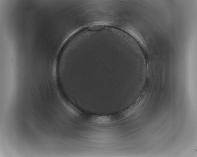 X0000111460156200908031347