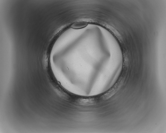 X0000111460160200908031347
