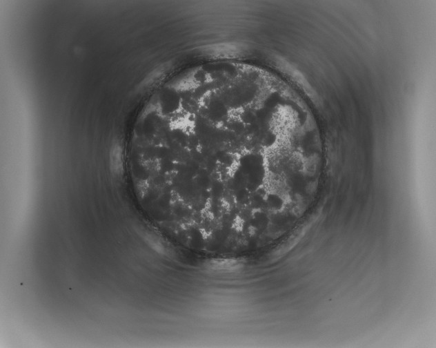 X0000111460161200908031347