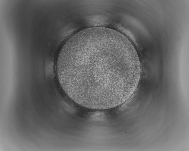 X0000111460162200908031347