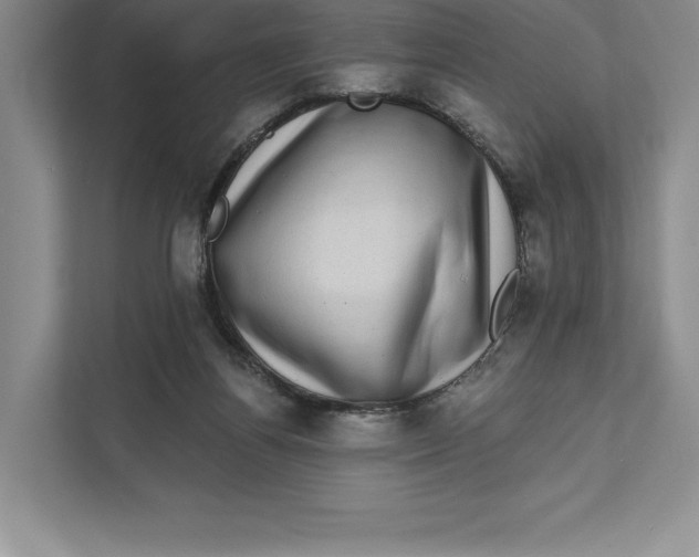 X0000111460164200908031347